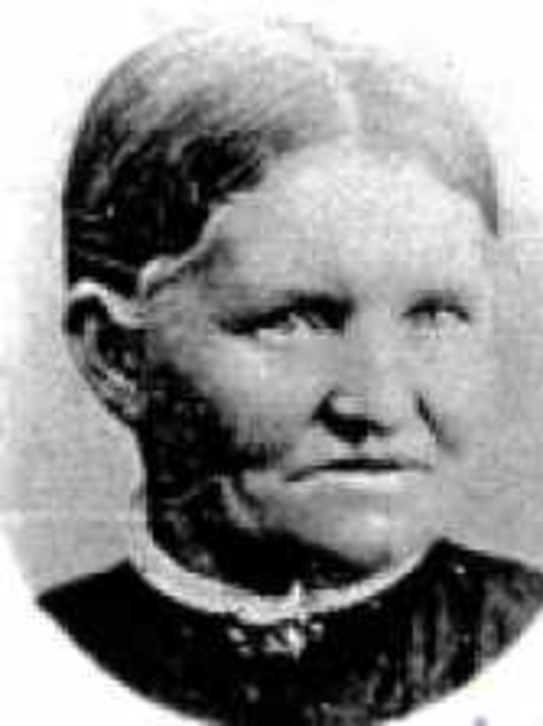 Anna Ellingson Olsen (1835 - 1900) Profile